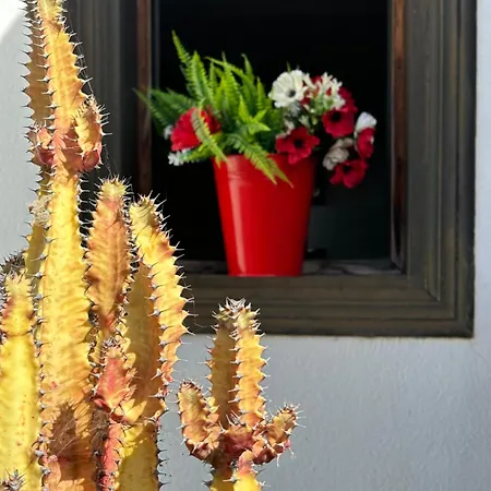 ヴィラ Adel, Oasis De Paz Con Piscina Climatizada